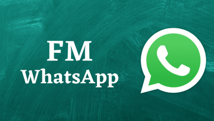 The Best FMWhatsApp APK Features (Must Download This App)